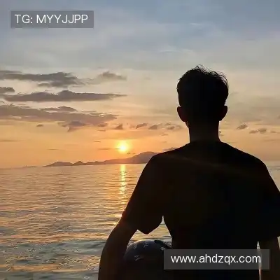 皮佳茂